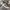 Adidas Casual Sneakers Pria white photo 4