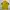 Pearly Gates Casual Polo shirt Pria black yellow photo 2
