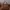 Hermes Luxury Handbag Wanita brown photo 3