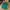 Bang Bang Casual Polo shirt Pria green photo 1