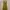 H&M Casual Bodycon dress Wanita green photo 1