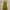H&M Casual Bodycon Dress Wanita Green