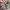 New Balance Streetwear Sportswear Sneakers Pria gray photo 6