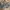 New Balance Streetwear Sportswear Sneakers Pria gray photo 2