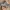 New Balance Streetwear Sportswear Sneakers Pria gray photo 1