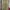 H&M Casual Bodycon dress Wanita green photo 1