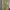 H&M Casual Bodycon Dress Wanita Green