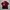Beanpole Casual Polo shirt Pria burgundy photo 2