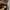 GAP Casual Polo shirt Pria brown photo 4