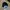 Streetwear Y2K Hat Pria multicolor photo 5