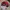 New Balance Streetwear Y2K Hat Pria red photo 4