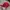 New Balance Streetwear Y2K Hat Pria red photo 2
