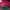 New Balance Streetwear Y2K Hat Pria red photo 6