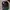 Obey Streetwear Y2K Hat Pria multicolor photo 4