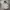 New Balance Streetwear Sportswear Jumper Pria gray photo 1
