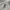 New Balance Streetwear Sportswear Jumper Pria gray photo 6