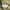 Streetwear Y2K Jumper Pria khaki photo 5