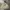 Streetwear Y2K Jumper Pria khaki photo 1