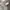 Polham Streetwear Casual Jumper Pria gray photo 2
