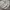 Polham Streetwear Casual Jumper Pria gray photo 3