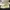 Converse Streetwear Sneakers Pria tan cream photo 5