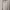 Luxury Minimalist Wanita white photo 5