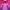 Avant Garde Sportswear Windbreaker Pria Purple Pink