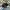 Salomon Gorpcore Casual Sneakers Pria Black