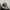 Adidas Streetwear Y2K Sneakers Pria black cream photo 1