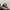 Adidas Streetwear Y2K Sneakers Pria Black Cream