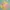 Sportswear Swimwear Kids multicolor photo 3
