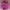 Japanese Brand Vintage Sportswear Puffer Jacket Pria Multicolor