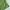 Nike Sportswear Short Pria green photo 5