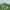 Nike Sportswear Short Pria green photo 3
