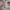 Sportswear Swimwear Kids multicolor photo 5