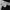 Dickies Gorpcore Futurist Pria black photo 3