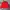 Nike Streetwear Sportswear Track jacket Pria red photo 1