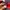 Nike Streetwear Sportswear Track jacket Pria red photo 6