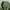 Streetwear Sportswear Windbreaker Pria green black photo 5