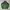 Streetwear Sportswear Windbreaker Pria green black photo 1