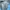 Ellesse Gorpcore Sportswear Puffer jacket Pria blue photo 6