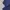 Streetwear Sportswear Windbreaker Pria navy black photo 4