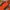 Streetwear Sportswear Windbreaker Pria black orange photo 7