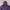 K2 Streetwear Sportswear Windbreaker Pria purple photo 2