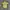 Japanese brand Y2K Avant Garde T-shirt Pria yellow photo 1