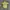 Japanese Brand Y2K Avant Garde T-shirt Pria Yellow