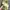 Japanese brand Y2K Avant Garde T-shirt Pria yellow photo 6