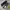 Puma Streetwear Sneakers Pria white black photo 1