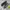 Adidas Streetwear Sportswear Sneakers Pria green photo 1