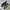 Adidas Streetwear Sportswear Sneakers Pria Green